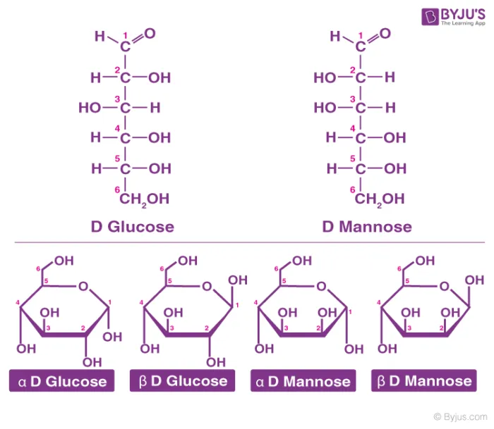 Chemical nature of carbohydrates